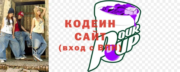 индика Инта