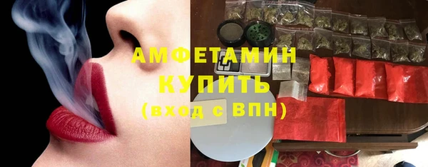 индика Инта