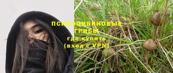 мескалин Инсар