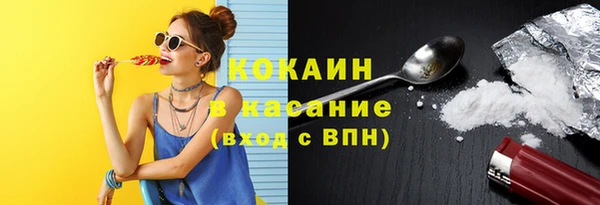 индика Инта