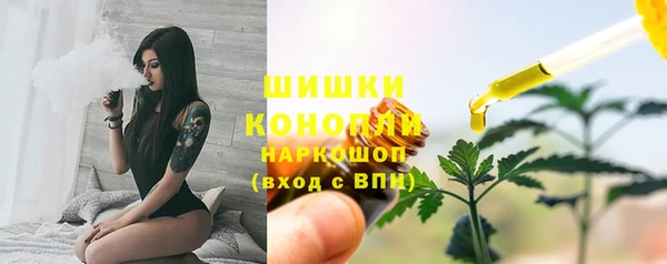 стафф Иннополис