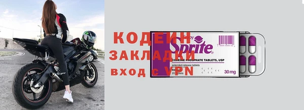 индика Инта