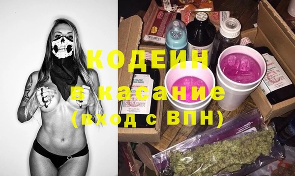 индика Инта