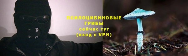 мескалин Инсар