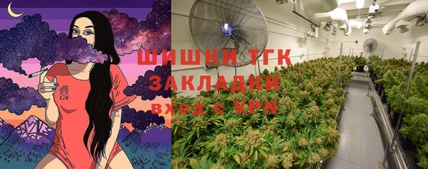 стафф Иннополис