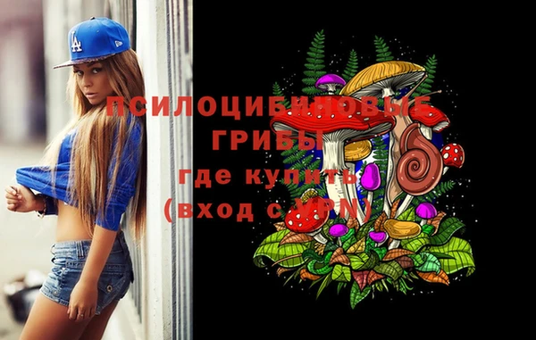 стафф Иннополис