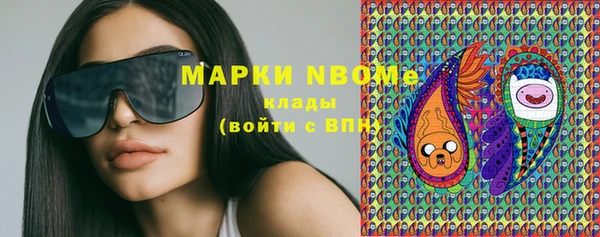 индика Инта