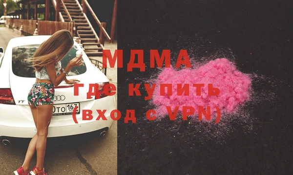 индика Инта