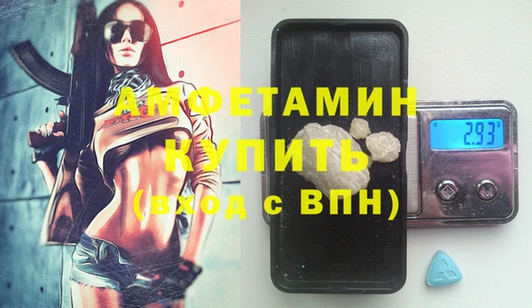 индика Инта