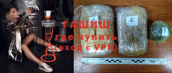 индика Инта