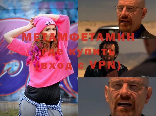индика Инта