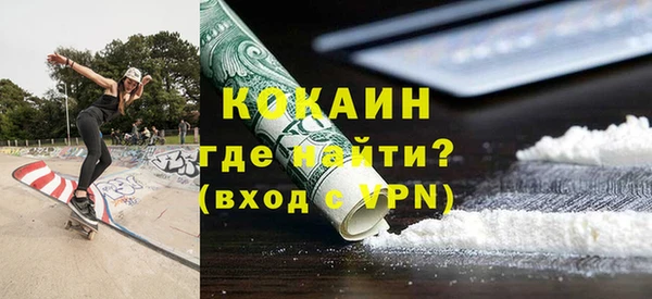 индика Инта