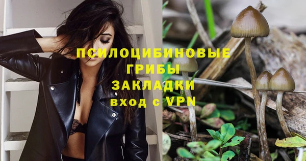 индика Инта