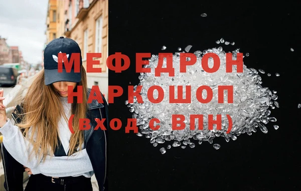 индика Инта