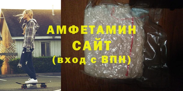 индика Инта