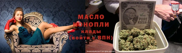 индика Инта